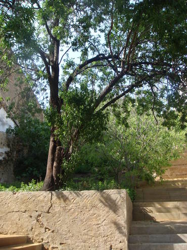 Terreny edificable en venda al centre del poble de Colera